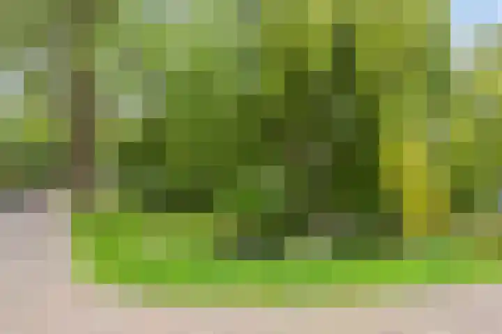 Het Lage Noord 5 Schagen thumbnail 5