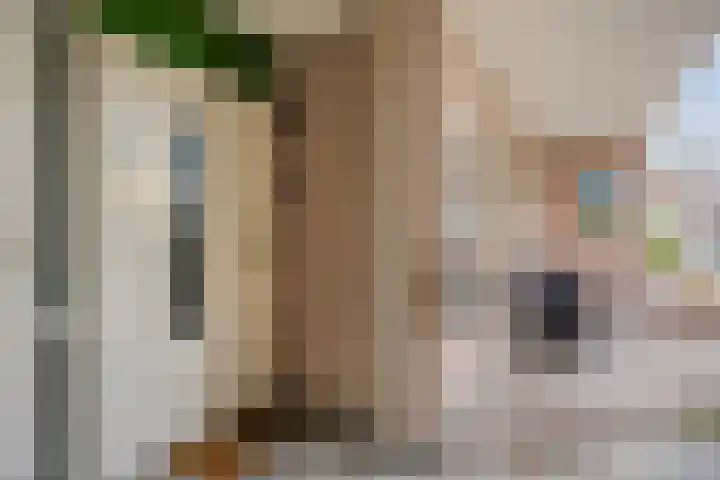 Het Lage Noord 5 Schagen thumbnail 7