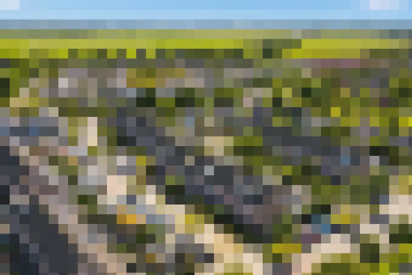 Het Lageland 25 Castricum thumbnail 31