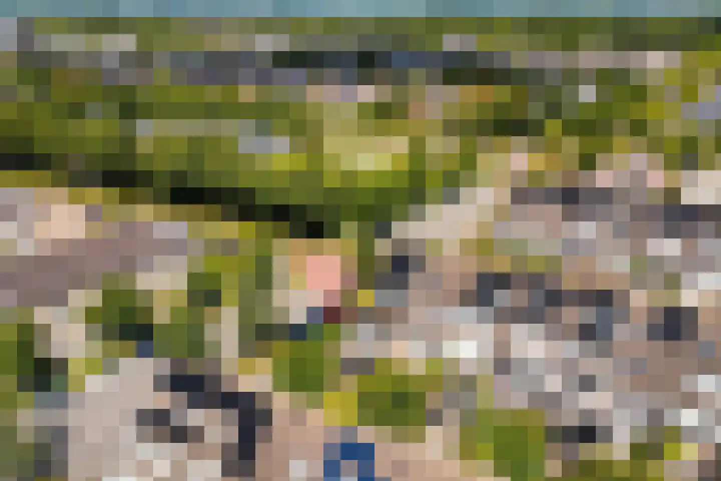 Het Lageland 25 Castricum thumbnail 32