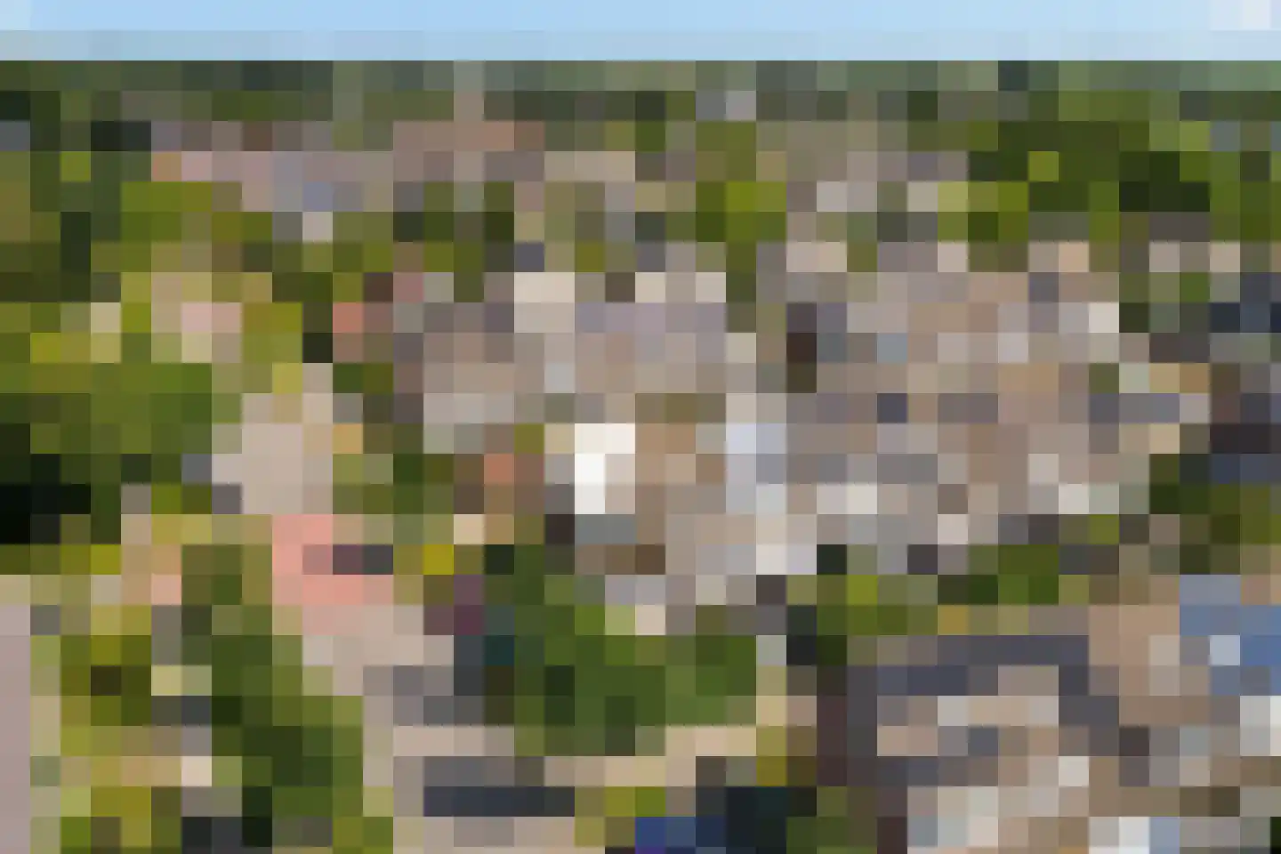 Het Lageland 25 Castricum thumbnail 33