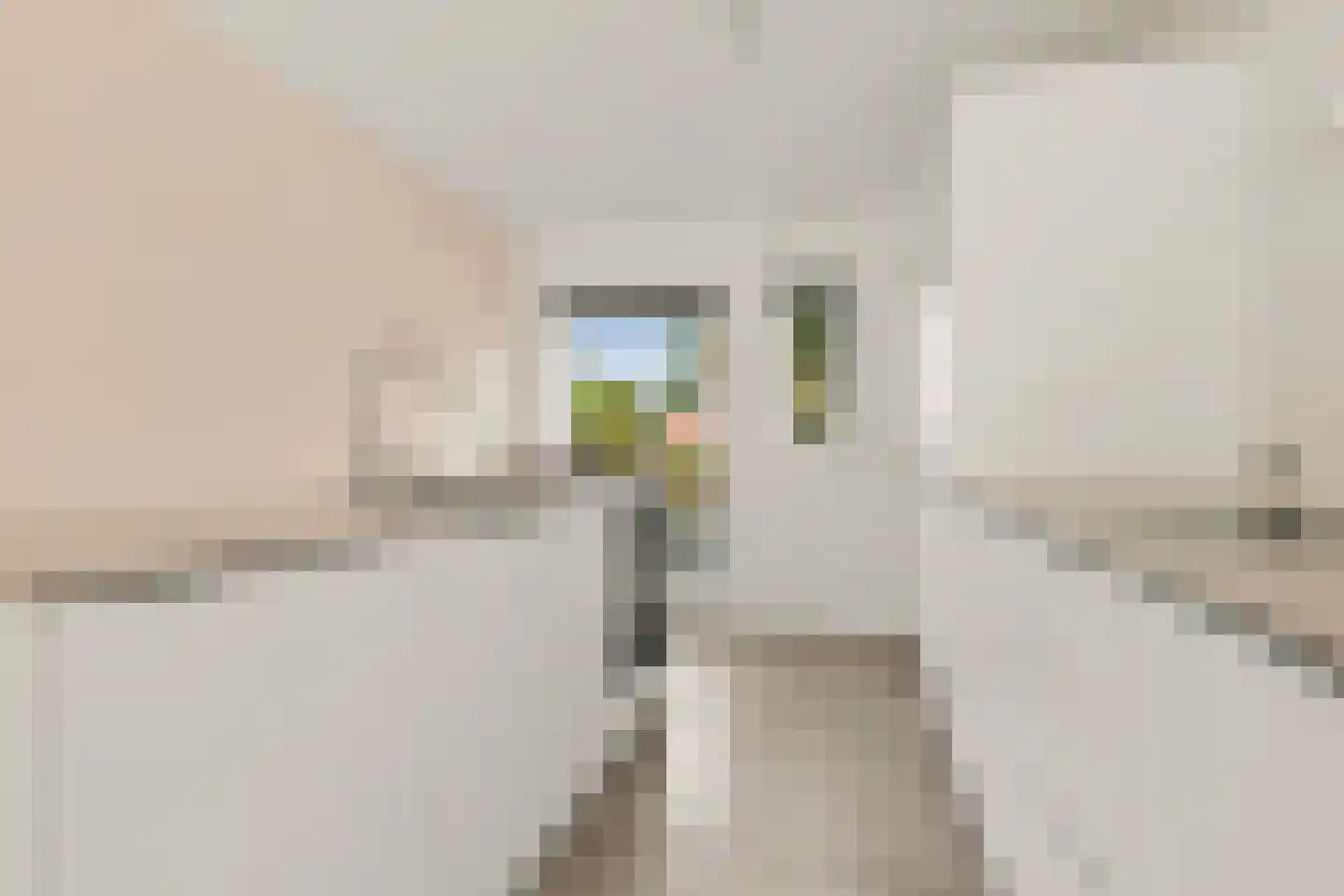 Het Lageland 25 Castricum thumbnail 8
