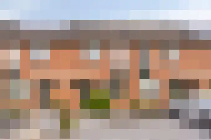 Het Landeweerd 29 Holten thumbnail 22