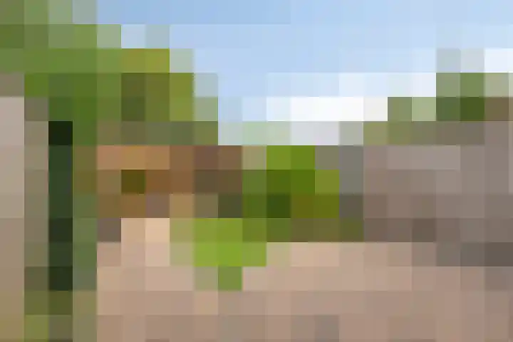 Het Landeweerd 29 Holten thumbnail 24