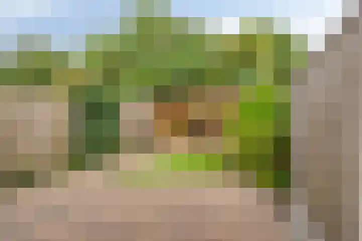 Het Landeweerd 29 Holten thumbnail 25