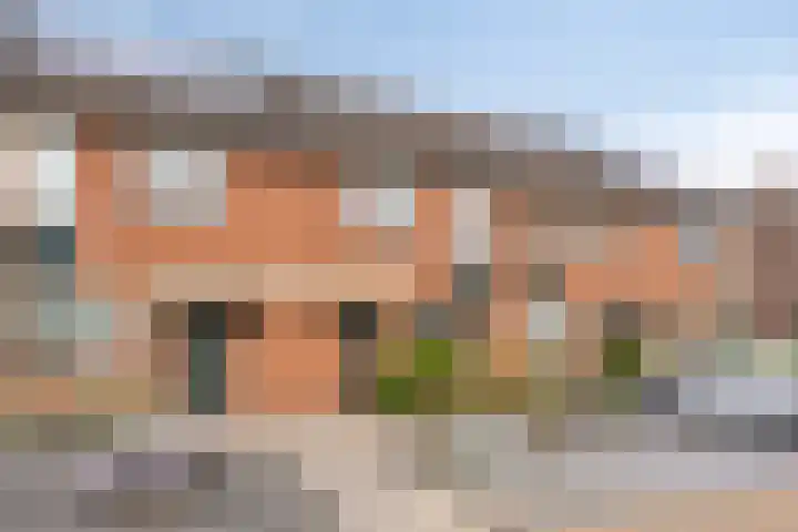Het Landeweerd 29 Holten thumbnail 28