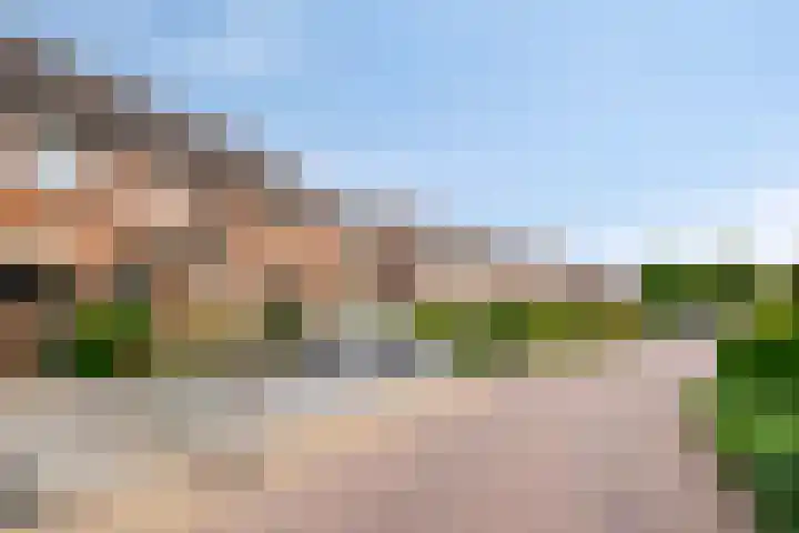 Het Landeweerd 29 Holten thumbnail 29