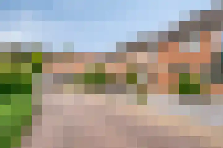 Het Landeweerd 29 Holten thumbnail 30