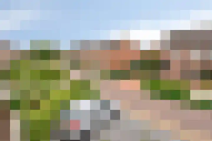 Het Landeweerd 29 Holten thumbnail 31