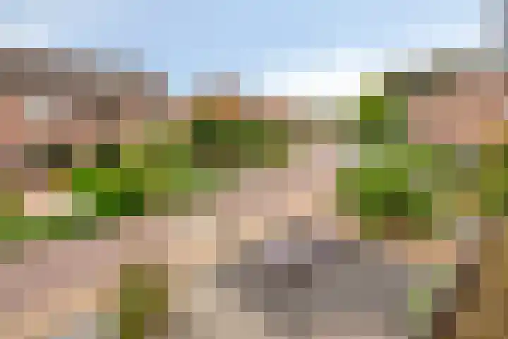 Het Landeweerd 29 Holten thumbnail 32