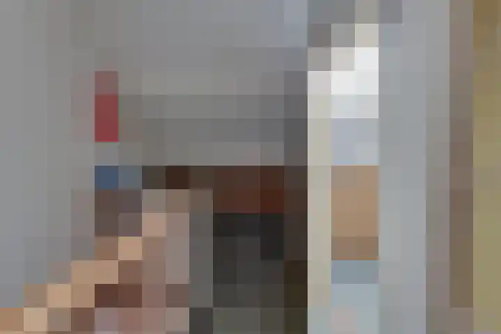 Het Landeweerd 33 Holten thumbnail 21