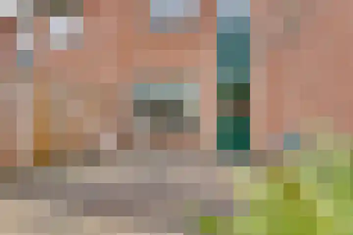 Het Landeweerd 33 Holten thumbnail 24