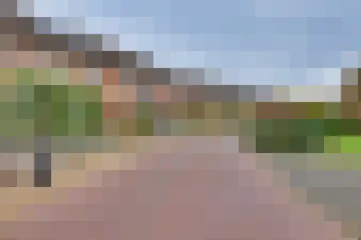 Het Landeweerd 33 Holten thumbnail 34