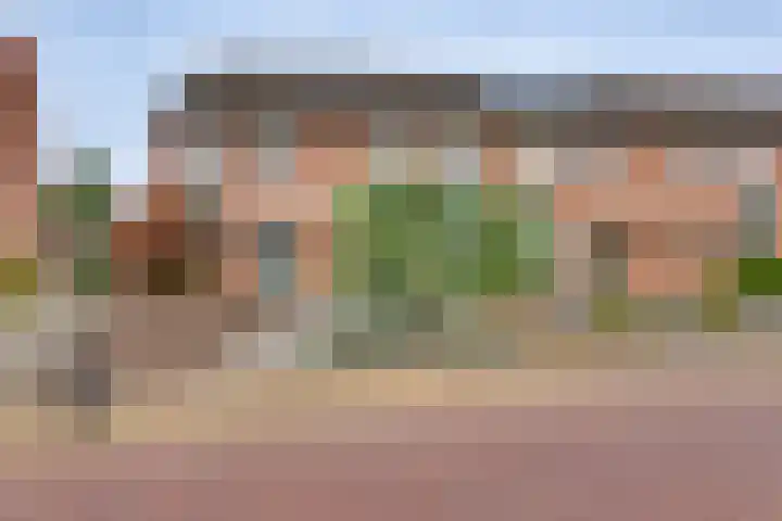 Het Landeweerd 33 Holten thumbnail 35
