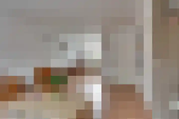 Het Landeweerd 33 Holten thumbnail 4