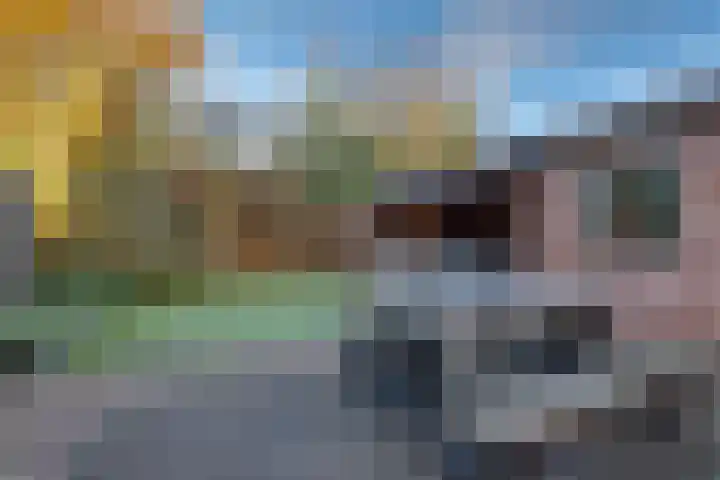 Het Landeweerd 35 Holten thumbnail 25