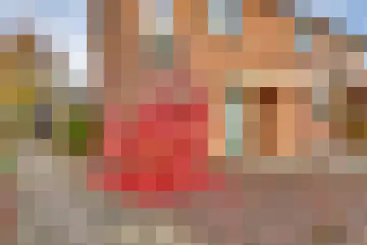 Het Landeweerd 35 Holten thumbnail 32