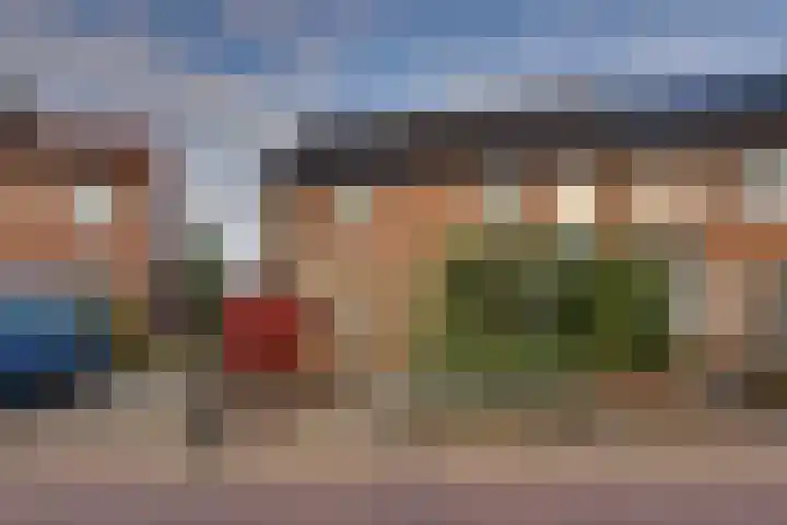 Het Landeweerd 35 Holten thumbnail 33