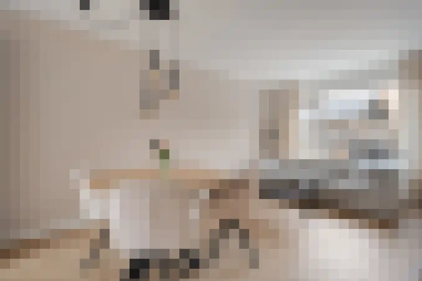Het Landeweerd 5 Holten thumbnail 10