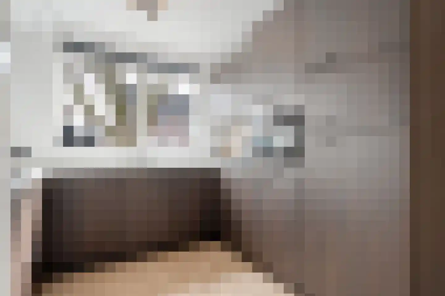 Het Landeweerd 5 Holten thumbnail 13