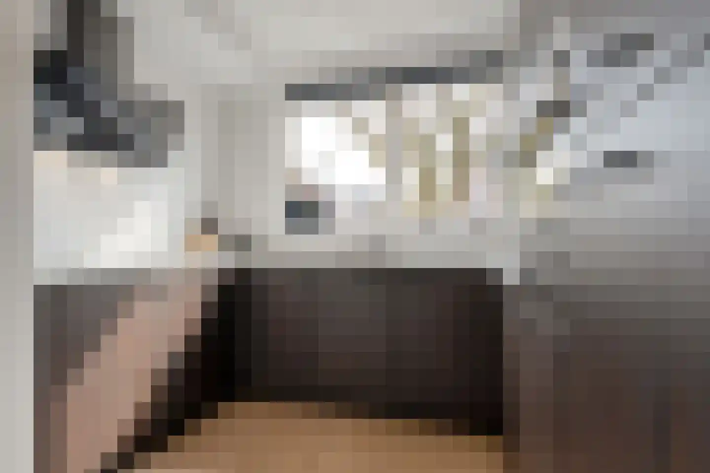Het Landeweerd 5 Holten thumbnail 15