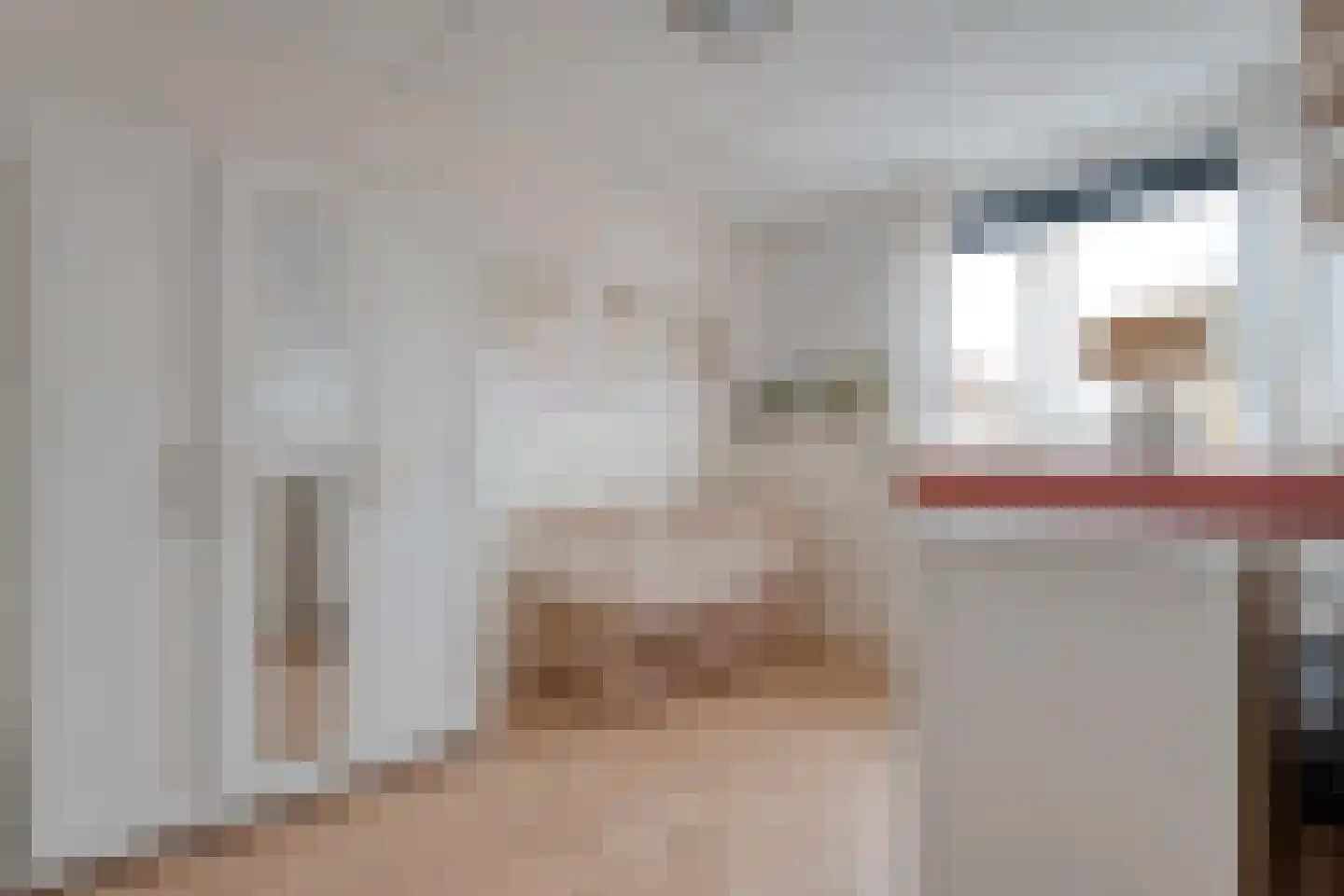 Het Landeweerd 5 Holten thumbnail 22