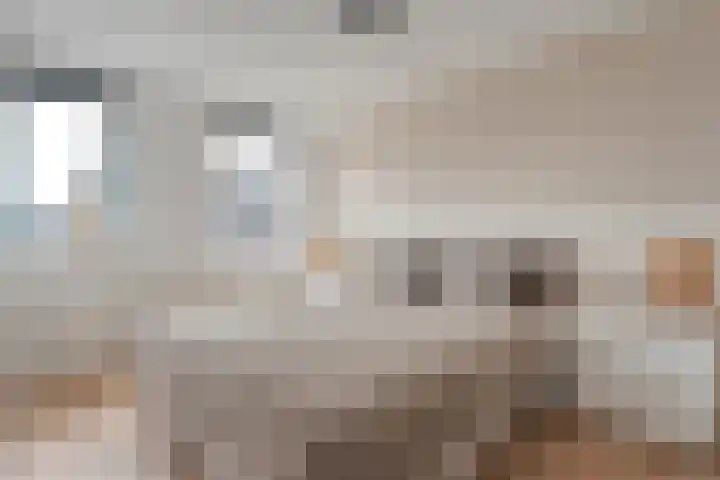Het Landeweerd 5 Holten thumbnail 24