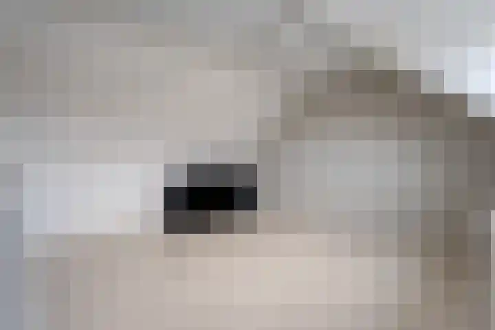 Het Landeweerd 5 Holten thumbnail 30