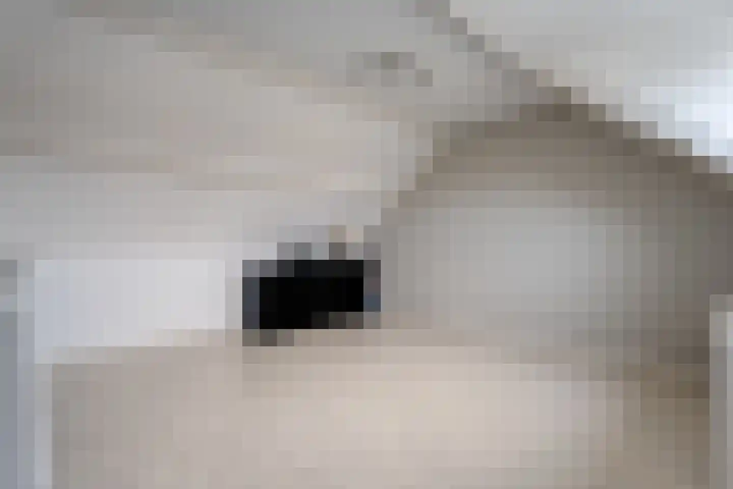 Het Landeweerd 5 Holten thumbnail 30