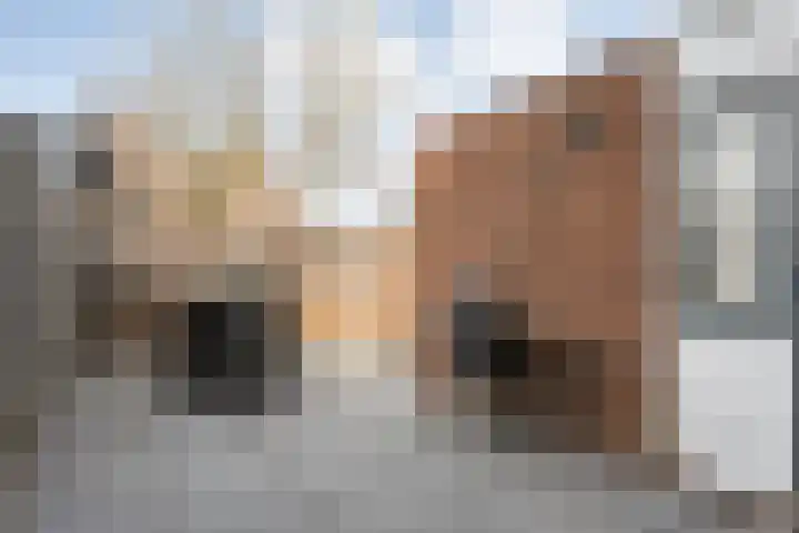 Het Landeweerd 5 Holten thumbnail 32