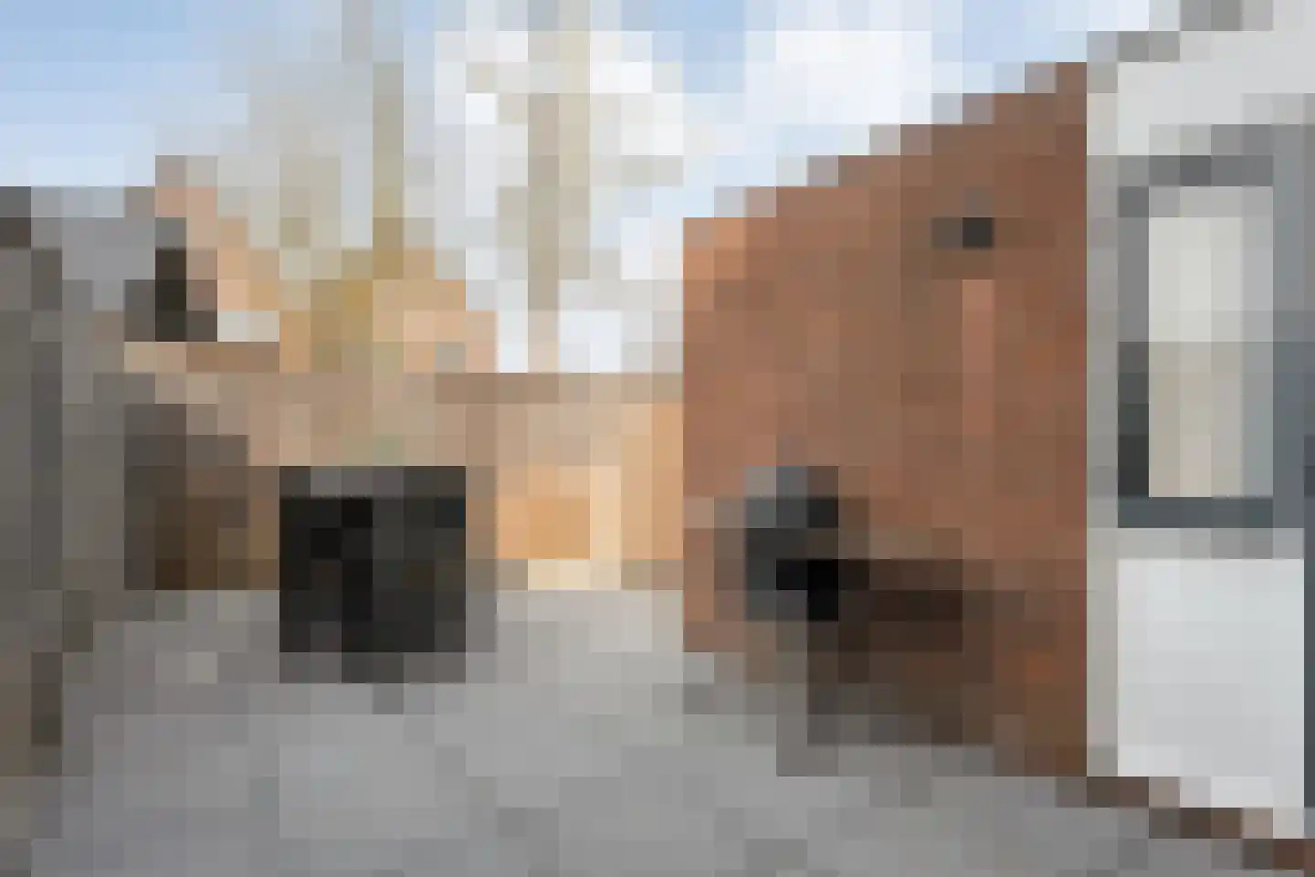 Het Landeweerd 5 Holten thumbnail 32