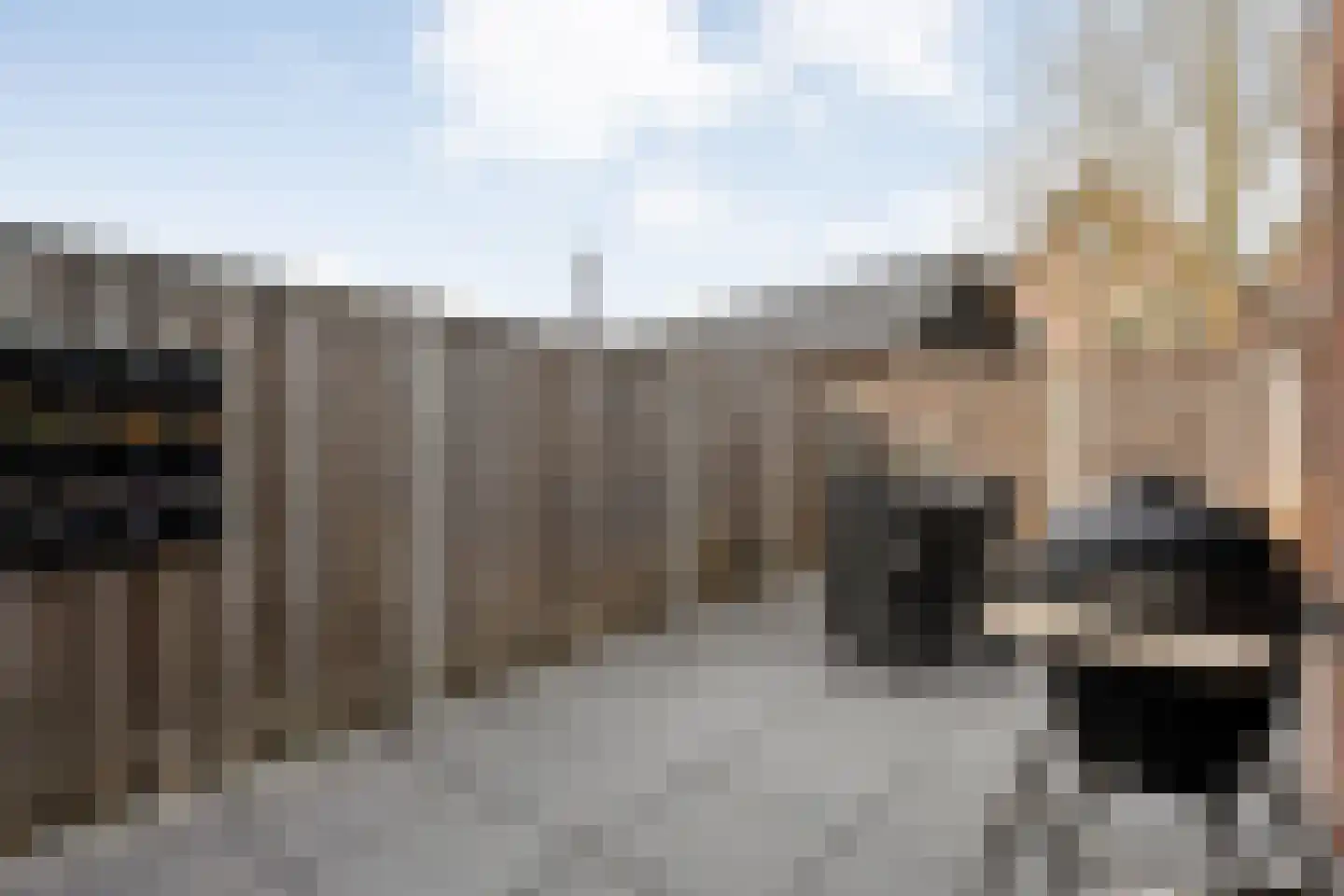 Het Landeweerd 5 Holten thumbnail 33