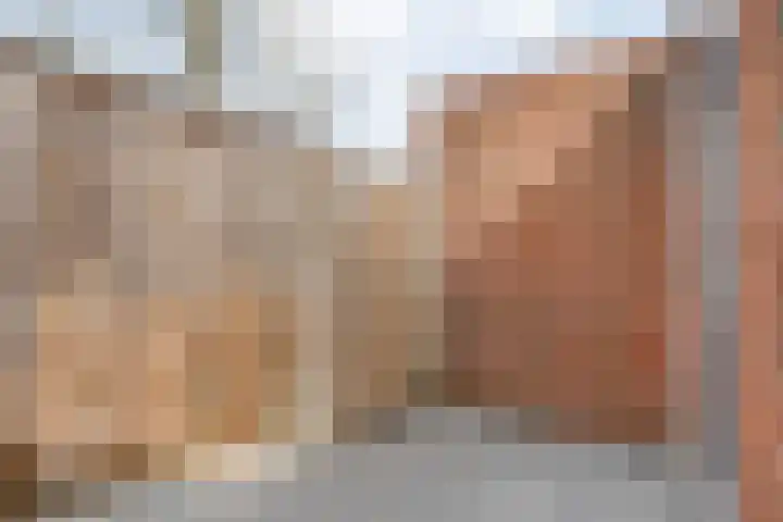 Het Landeweerd 5 Holten thumbnail 34