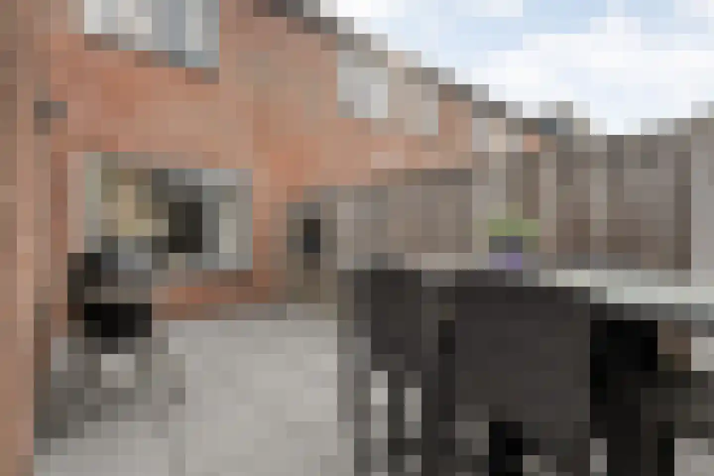 Het Landeweerd 5 Holten thumbnail 35