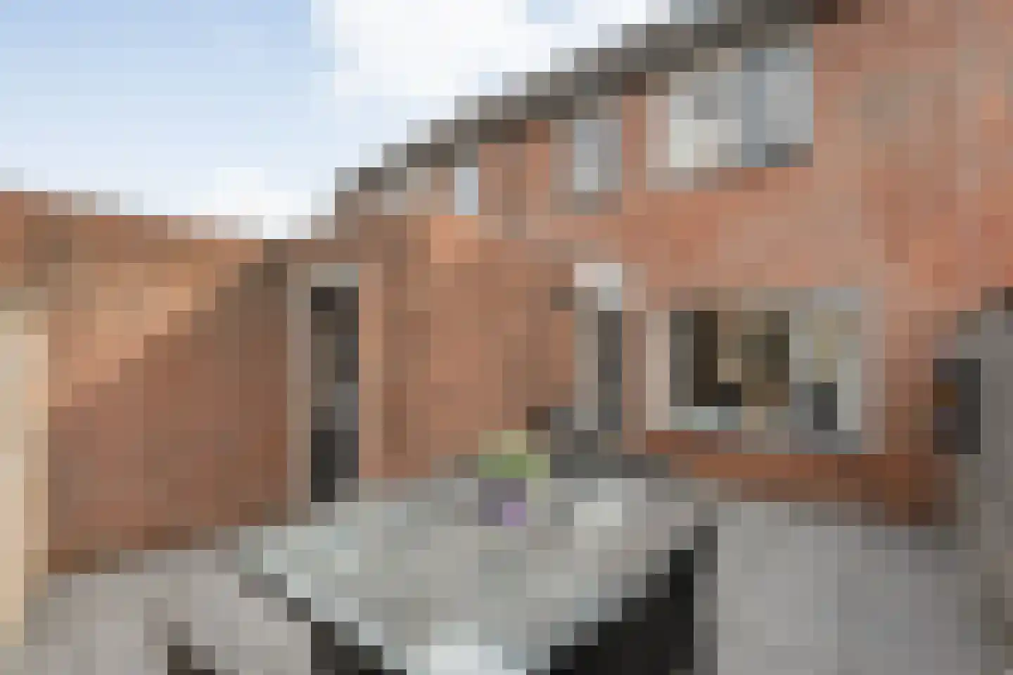Het Landeweerd 5 Holten thumbnail 36