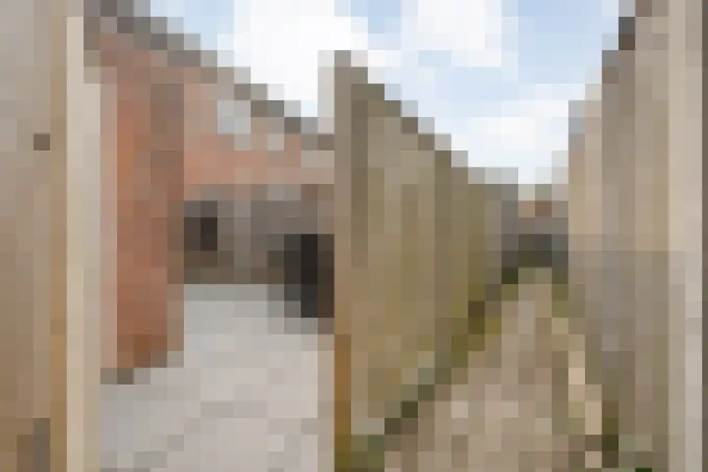 Het Landeweerd 5 Holten thumbnail 37