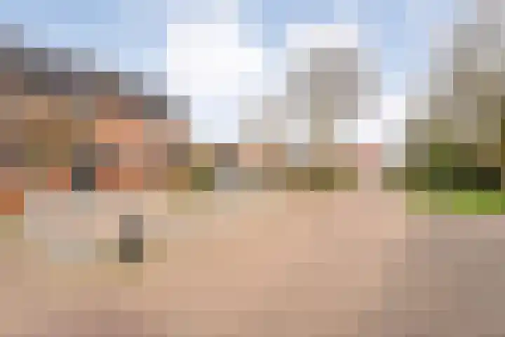 Het Landeweerd 5 Holten thumbnail 39