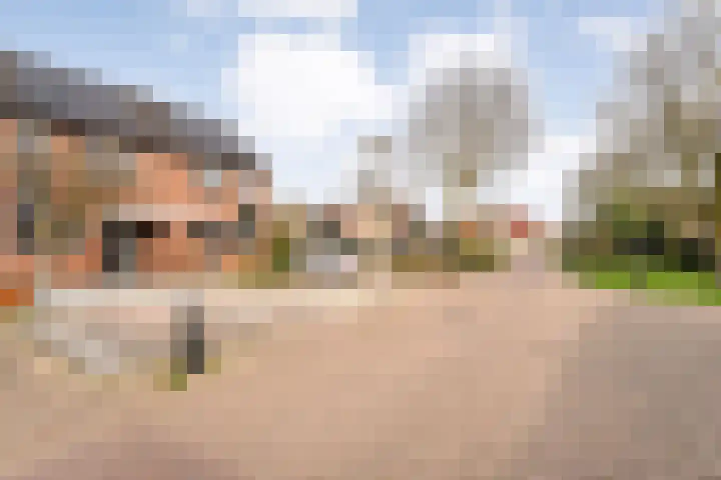 Het Landeweerd 5 Holten thumbnail 39