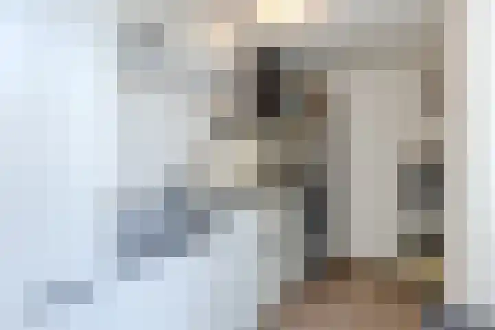 Het Landeweerd 7 Holten thumbnail 10