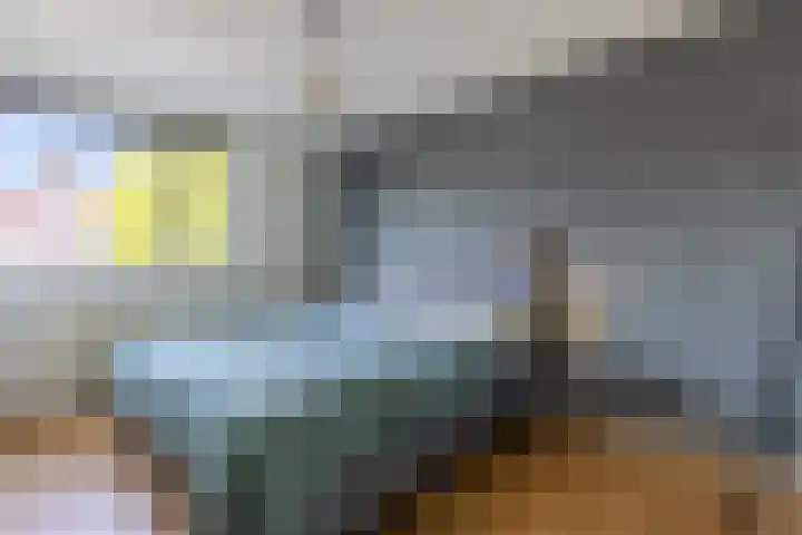 Het Landeweerd 7 Holten thumbnail 14