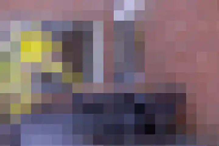 Het Landeweerd 7 Holten thumbnail 20