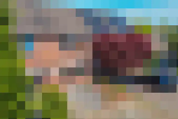 Het Landeweerd 7 Holten thumbnail 22