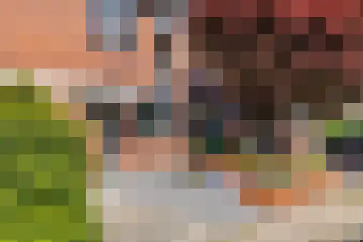 Het Landeweerd 7 Holten thumbnail 23