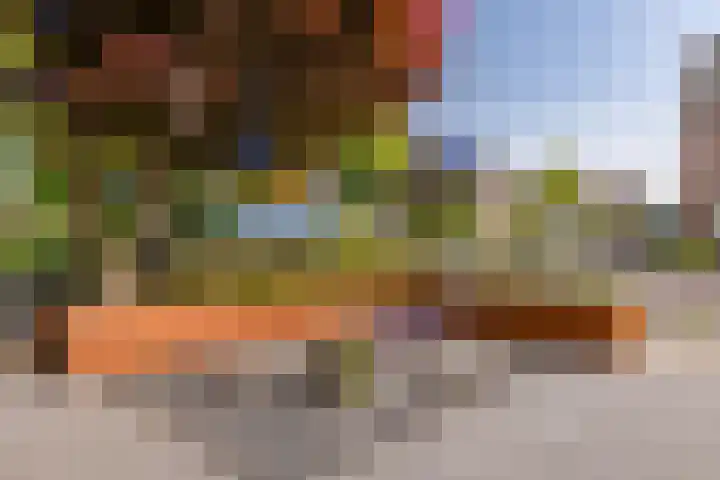 Het Landeweerd 7 Holten thumbnail 24