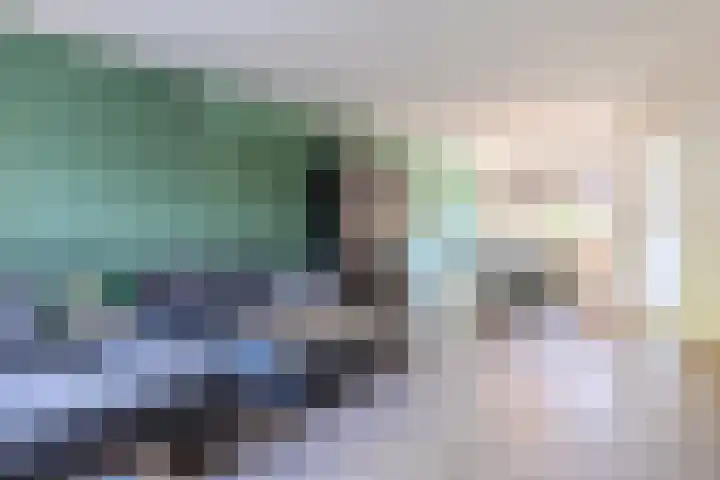 Het Landeweerd 7 Holten thumbnail 4