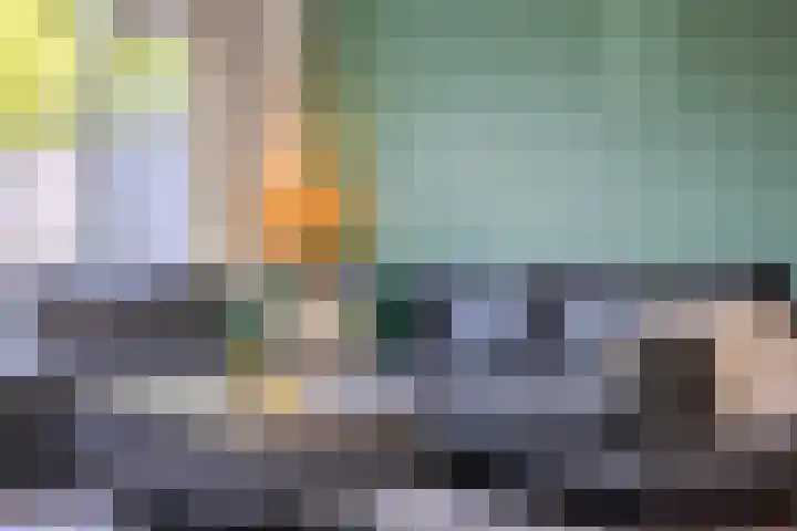 Het Landeweerd 7 Holten thumbnail 7