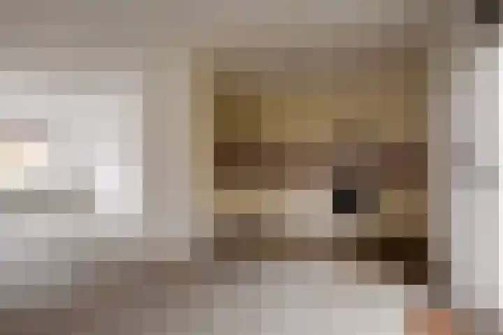 Het Landeweerd 85 Holten thumbnail 12