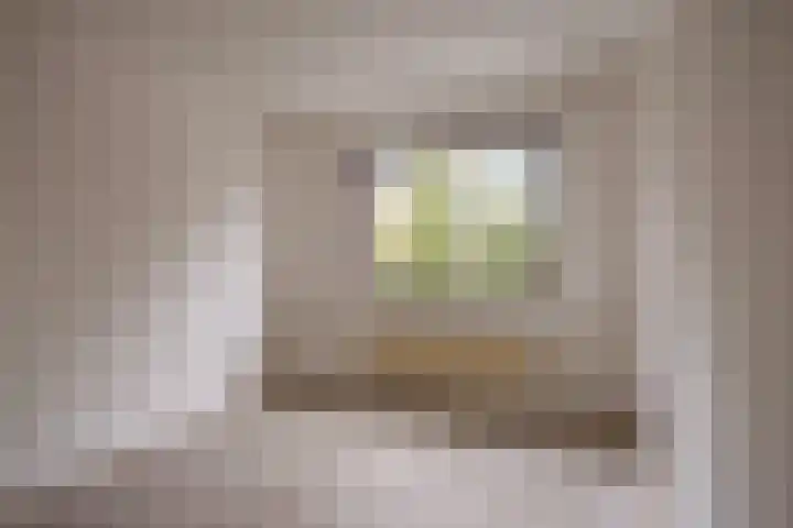 Het Landeweerd 85 Holten thumbnail 23