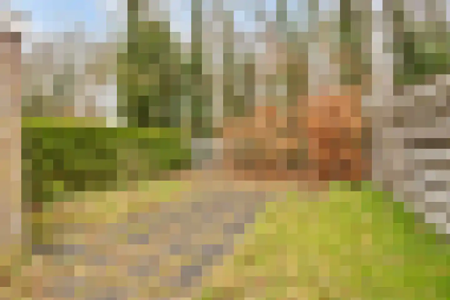 Het Landeweerd 85 Holten thumbnail 30