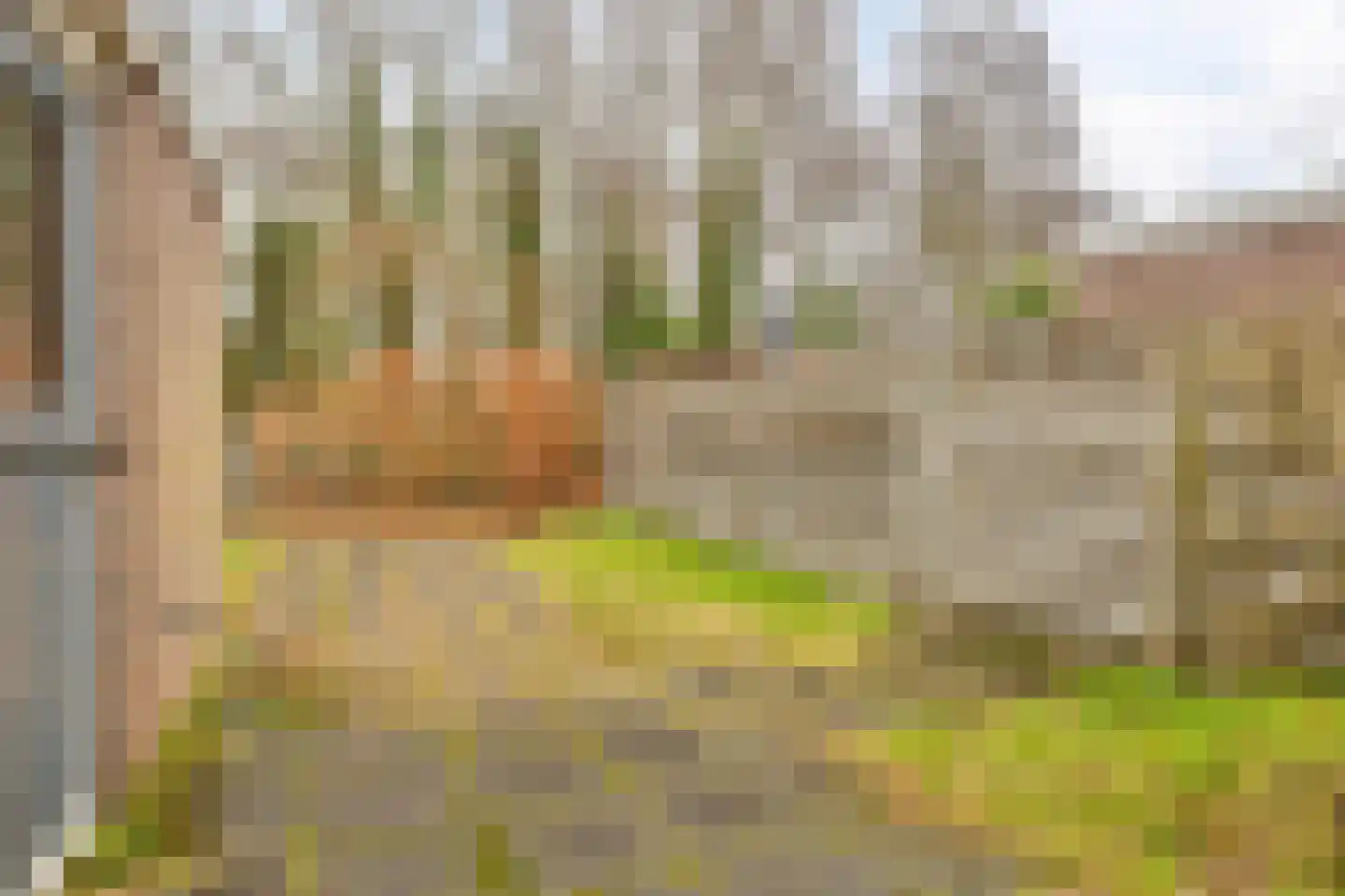 Het Landeweerd 85 Holten thumbnail 31